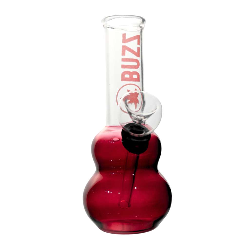 5" Buzz Glass Bong - 5ct