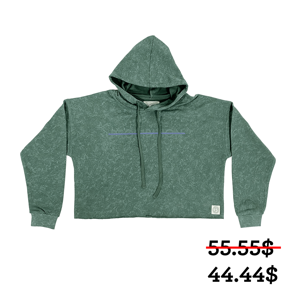 Prohibition - Purple Strikethrough Alpine Green Crop Hoodie